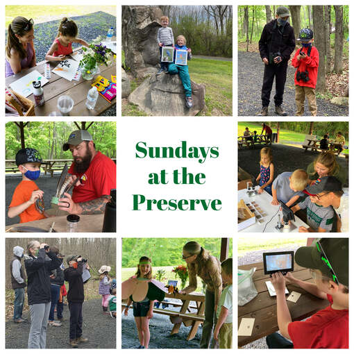 Sundays at the Preserve! at Brandwein Nature Learning Preserve in Port Jervis