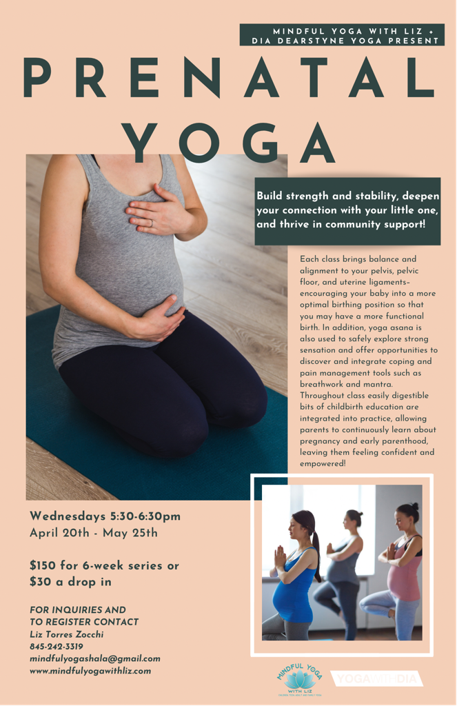 Prenatal Yoga at Mindful Yoga with Liz in Poughkeepsie