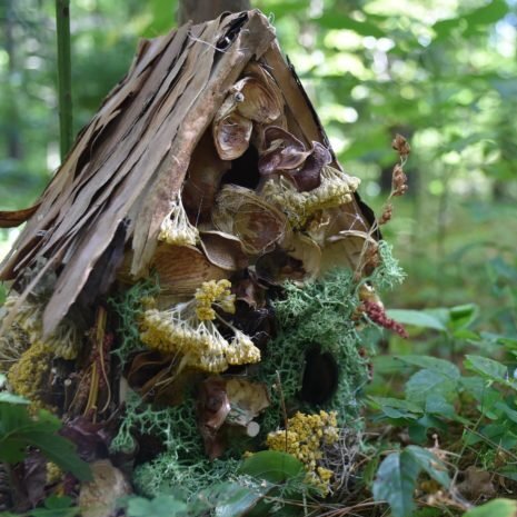 Fairy Houses & Toad Abodes! at Hudson Highlands Nature Museum in Cornwall, NY