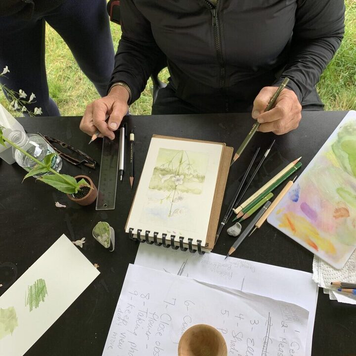 Observing Summer Wildflowers: A One-Day Drawing & Journaling Workshop for All Ages at Olana State Historic Site in Hudson