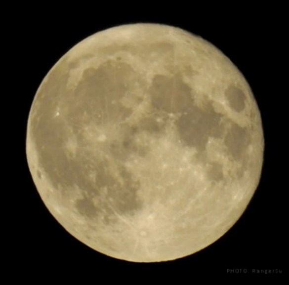 Full Moon Hike: “Sturgeon Moon” at Rockefeller State Park Preserve in Pleasantville