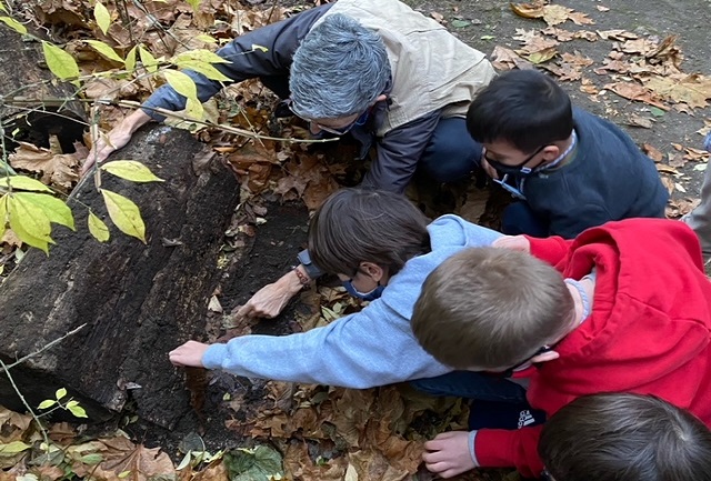 Nature Detectives – Fall Wednesdays at Sheldrake Environmental Center in Larchmont