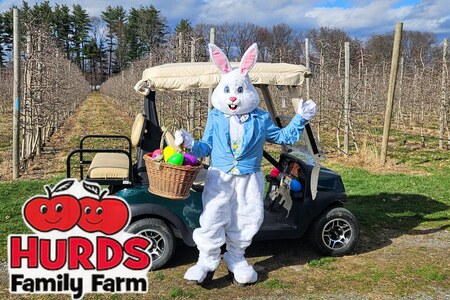 Easter Stay and Play at Hurds Family Farm