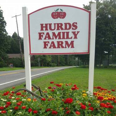 Dig Into the Fun – Gems Await! Stay and Play at Hurds Family Farm