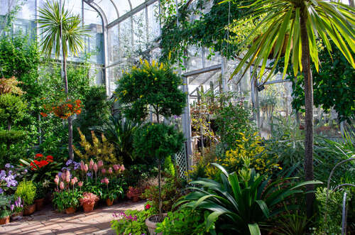 Exploring Biomes at Wave Hill