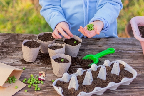 Earth Day Seed Planting at Mid-Hudson Discovery Museum