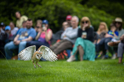 Wings Over Wave Hill | The Bronx